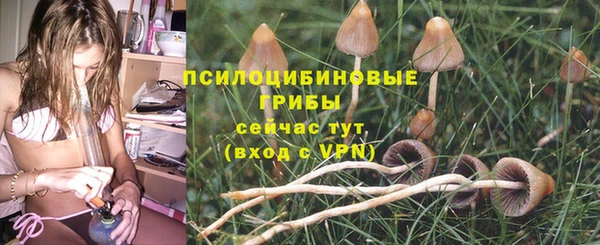 прущая мука Михайловск