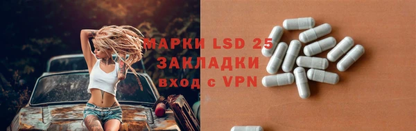индика Михайлов