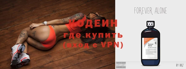 индика Михайлов