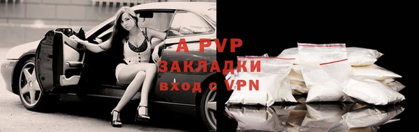 индика Михайлов