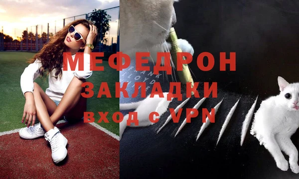 индика Михайлов