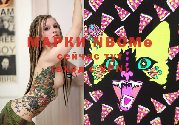 индика Михайлов