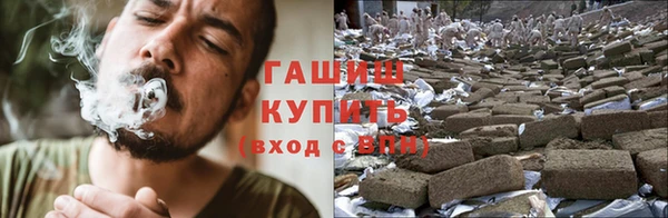 индика Михайлов