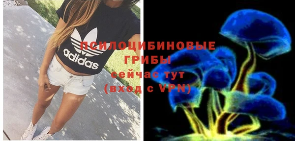 индика Михайлов
