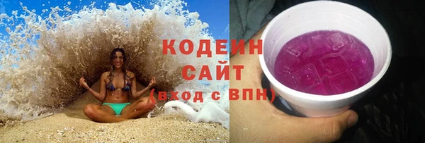 индика Михайлов