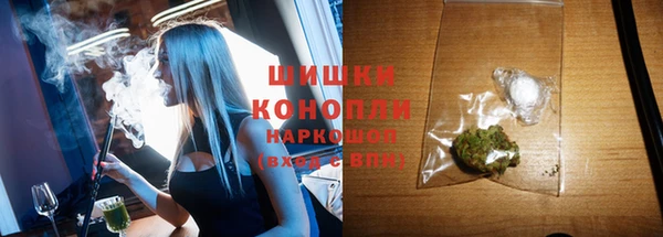 индика Михайлов