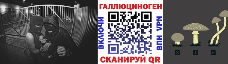 darknet официальный сайт блэк спрут tor Нефтеюганск Галлюциногенные грибы MAGIC MUSHROOMS